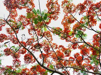 腾讯《三角洲行动》11月3日10点开测 最低3060显卡